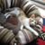 Lisa Jurgens's profile image