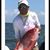 Wayne Taylor's profile image