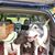 Christi Grubb's profile image