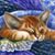 Cindy Laspina LaValle's profile image