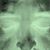 Ray Carrillo's profile image