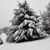Linda Maust Jacobs's profile image