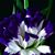 Sharon Delaney's profile image