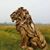 Nathaniel F. Willey's profile image