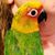 Joyce Terlaje's profile image