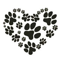 Lea Snyder Brokaw's profile image