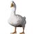 Aflac Eastern Panhandle Region's profile image