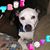 Judy W Love's profile image
