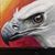 Jonah Osgood's profile image