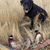 John Knueppel's profile image