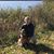 Bruce Nestor's profile image