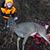 Paul Harnden's profile image