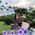 Angie Flores Robles's profile image