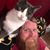 Dustin Taylor's profile image