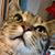 Larissa Justine Judnitch's profile image