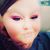 Natasha Dyer's profile image