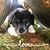 Cheryl Finley-Parent's profile image