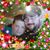 Ashley Emery Cook's profile image