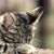 David Wetherby's profile image