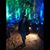 Jannine Margaret's profile image