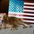 BJ Segear's profile image