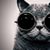 Susan Hobbs's profile image