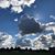 Shelly Knowlton Marc Fox's profile image