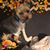 Jeannette Jarrett Bybee's profile image