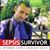 Darren Slaytor's profile image