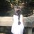 Dahlia Abi Saab Al Sayegh's profile image
