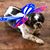 Sarah Moorhead's profile image