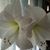 Susan Lynn's profile image