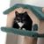 Debra Toews's profile image