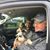 Kathy Dutremble's profile image
