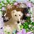 Dedra Robertson Jones's profile image