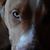 JustRita Therese's profile image