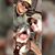 Samantha Goudy's profile image