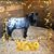 Kimberly Pruchniewski's profile image