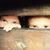 Angela Precht's profile image