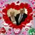 Sharon Shreve Cross's profile image