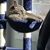 Christine Wentzel's profile image