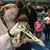 Holly Banghart's profile image