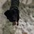 Erika Caddick's profile image