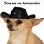 Hary Bals's profile image