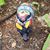 Evelyn J Berry's profile image