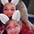 Kimberly Cook's profile image