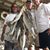 David C. Dillman's profile image