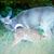 Mary Ann Kearney Raybuck's profile image
