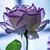 Elizabeth Lee May's profile image