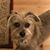 Susan L Sarfaty's profile image